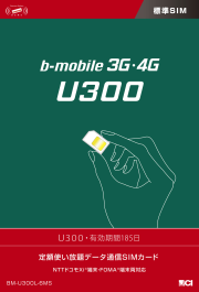 LTE U300 6ヶ月 標準SIM