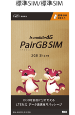 ヨドバシ PairGB SIM 標準/標準