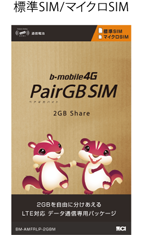 ヨドバシ PairGB SIM 標準/マイクロ