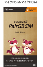 ヨドバシ PairGB SIM マイクロ/マイクロ