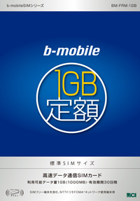 1GB定額パッケージ(標準SIM)