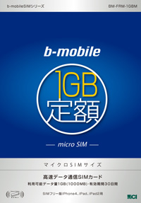 1GB定額パッケージ(マイクロSIM)