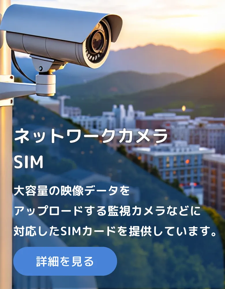ネットワークカメラSIM