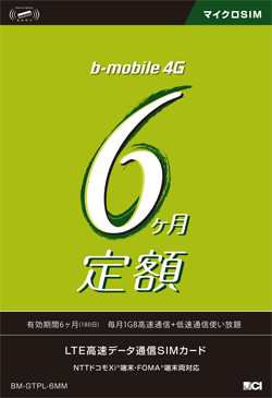 6ヶ月定額SIM