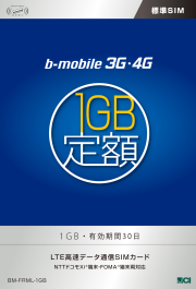 LTE 1G定額 標準SIM
