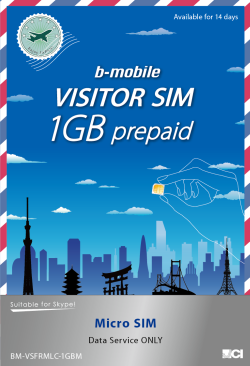 VISITOR SIM 店頭販売版イメージ
