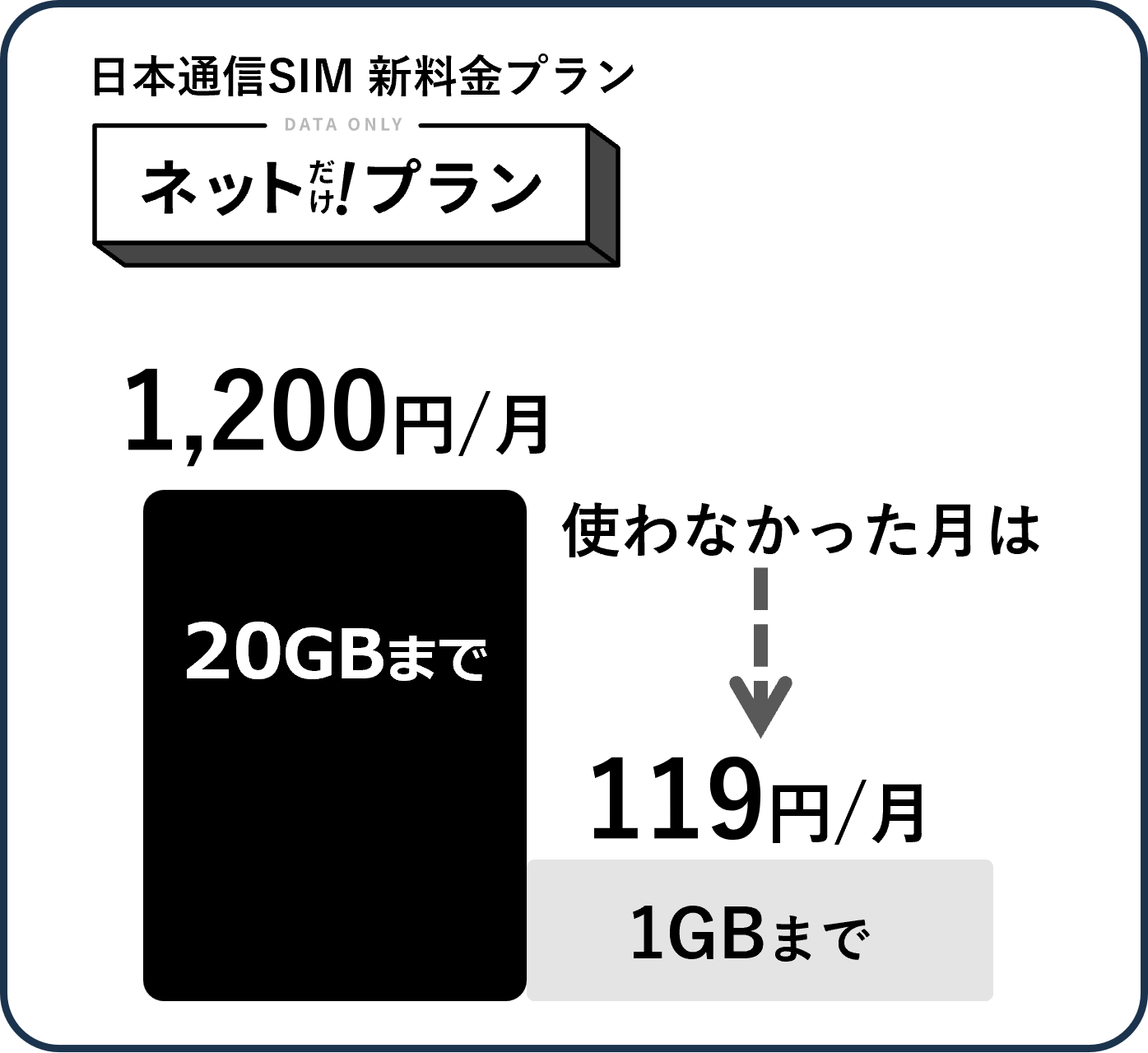 ネットだけプラン