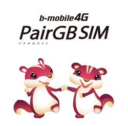 PairGB SIM Logo
